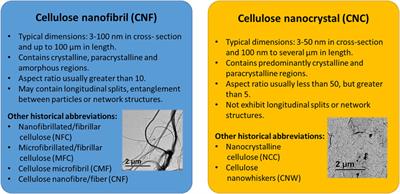 Nanocellulose from a colloidal material perspective